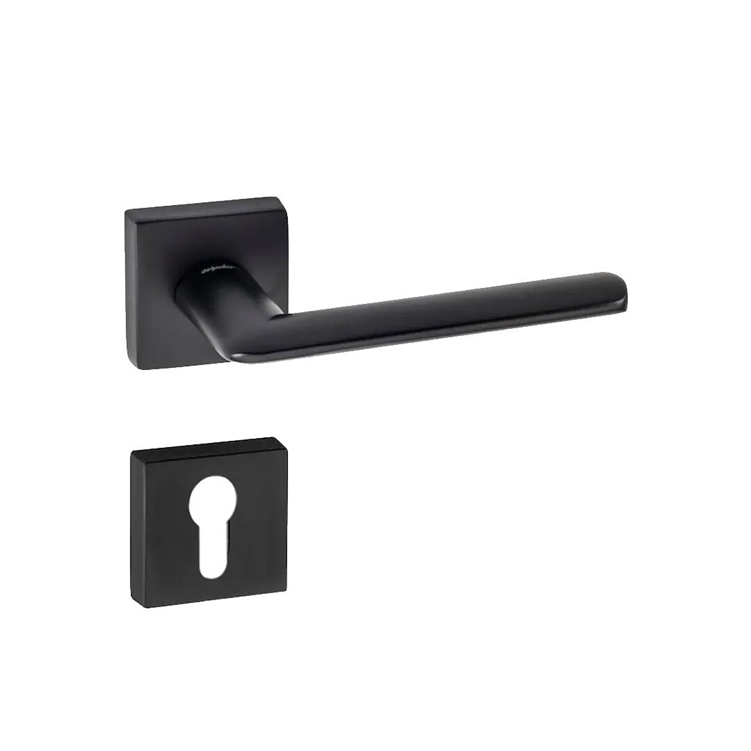 Doğanlar Kante Rozetli Kapı Kolu Matsiyah - Dış Kapısı