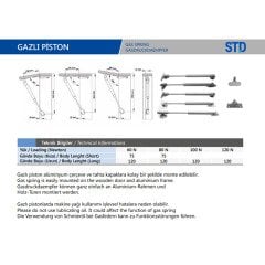 Yavaş Kapanan Gazlı Piston 100 N