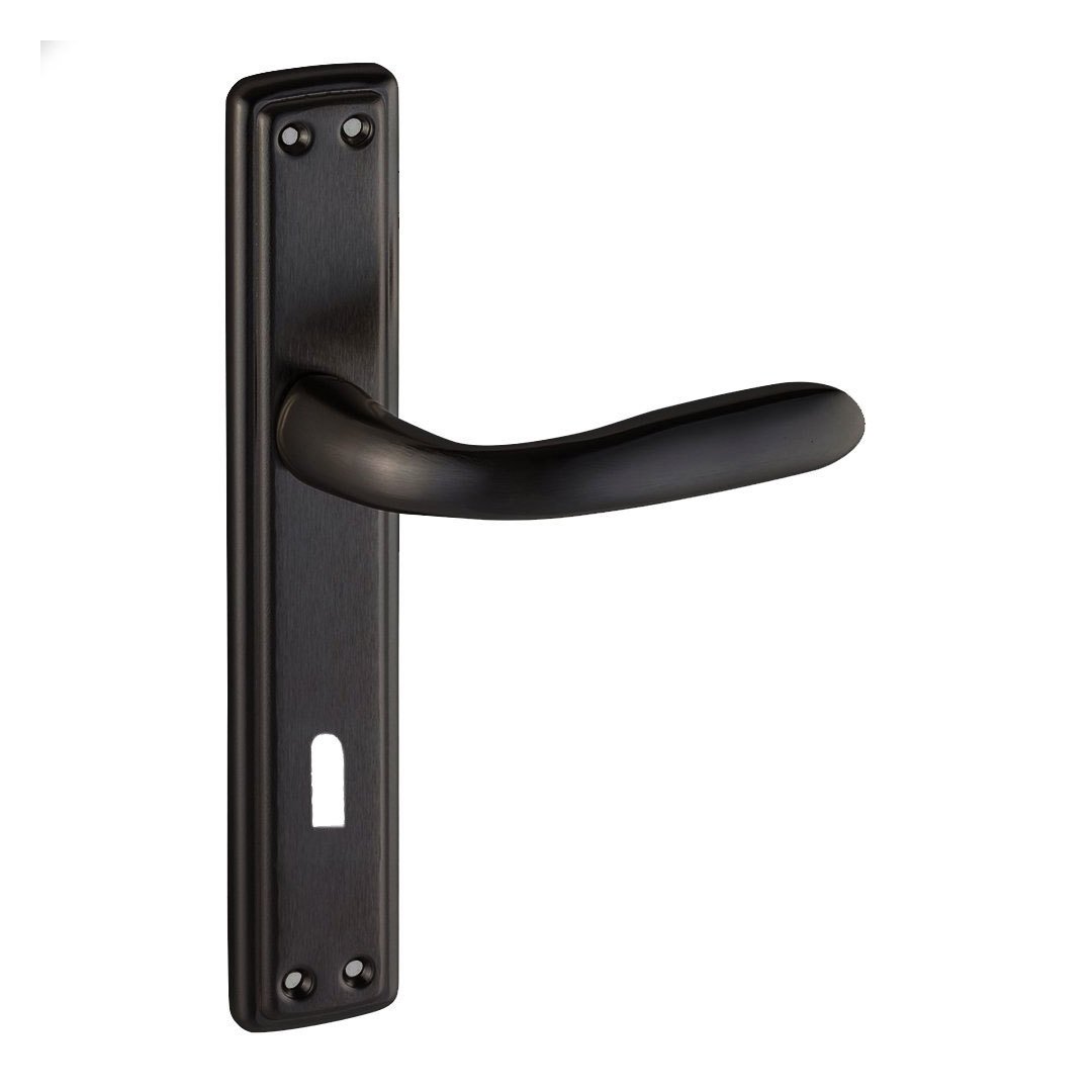 Doğanlar Alüminyum Bora Matsiyah Aynalı Kapı Kolu Oda Kapısı