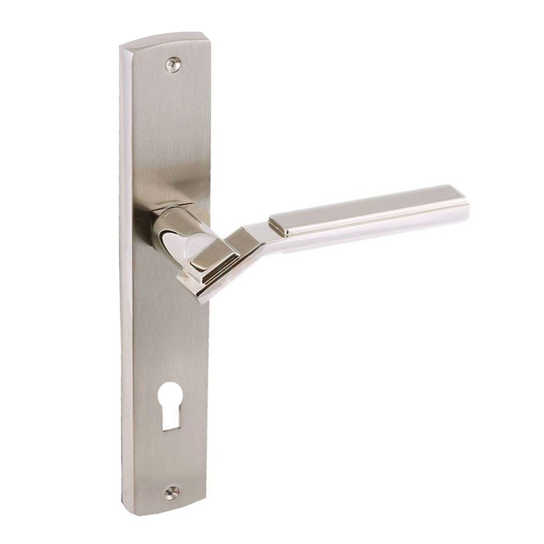 Doğanlar Asos Nikel Saten Aynalı Kapı Kolu Dış Kapısı