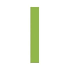 Roma 5838 Çim Yeşili Düz Pvc Kenarbant 0,80*22 mm - 150 Metre